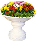 花盆