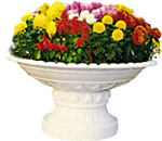 花盆