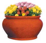 花盆