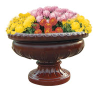 花盆